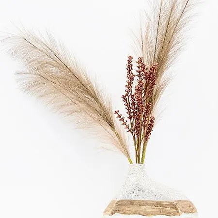 Apartamento Zora Lak Sopron